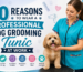 10 Reasons to Wear a Professional Dog Grooming Tunic