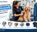 Grooming Salon